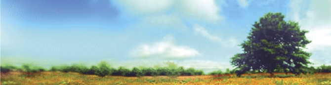 Field with a tree